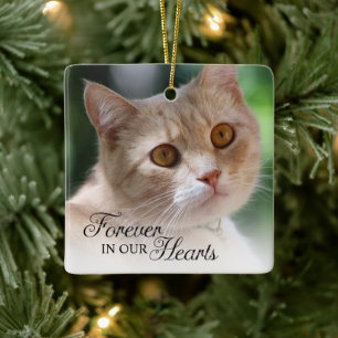 Kat Foto Altijd in Onze Hart Keramisch Ornament
