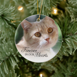 Kat Foto Altijd in Onze Hart Keramisch Ornament