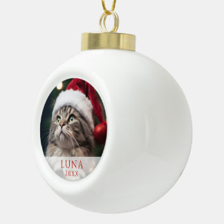 Kat Foto Bal Ornament met Boom op Achtergrond