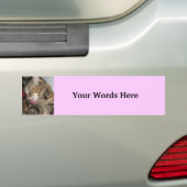 Kat foto bumpersticker (Op auto)