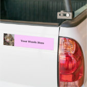 Kat foto bumpersticker (Op Truck)