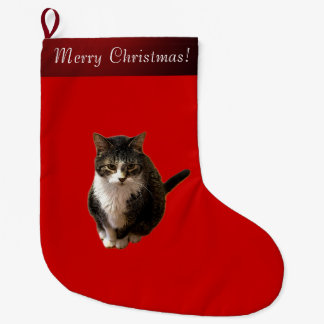 Kat Foto Grote Kerstsok