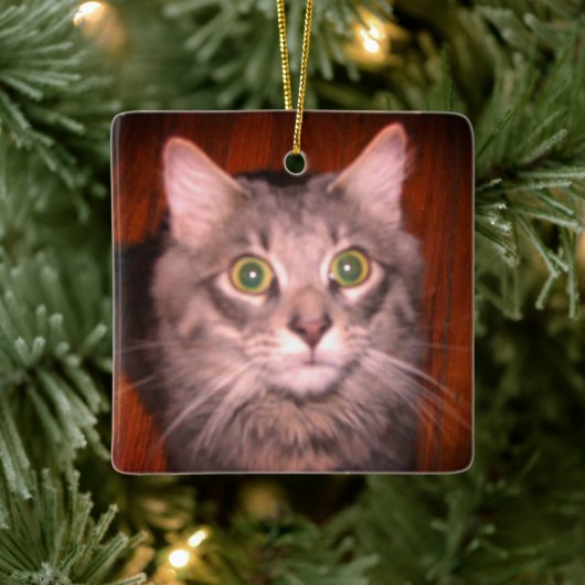 Kat Foto Keramisch Ornament (Boom)