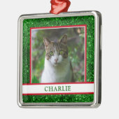 Kat Foto Metalen Ornament (Links)