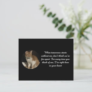Kat Foto Naam Tekst Kat Verlies Sympathie Kaart 