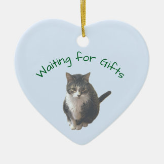 Kat Foto Ornament