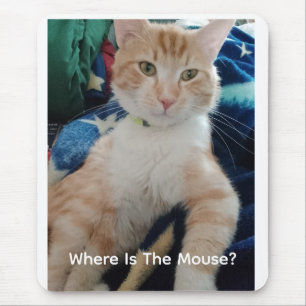 Kat Foto Tekst Aanpasbare Muismat