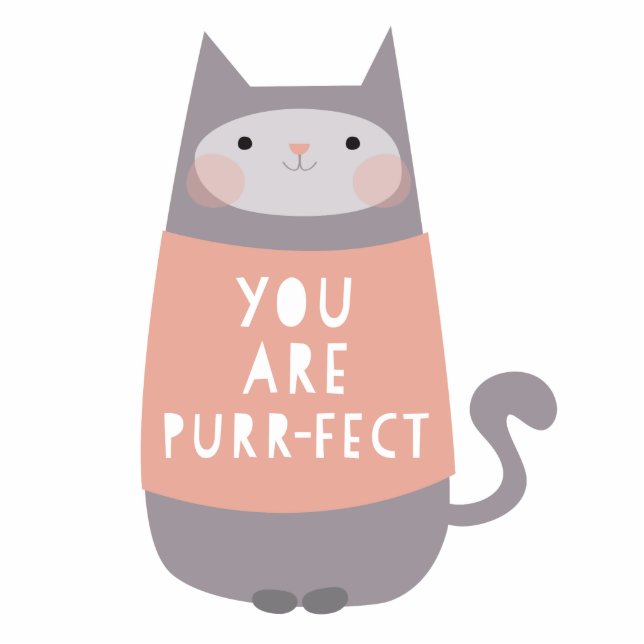 Kat Fotobeeldje Ornament (Voorkant)