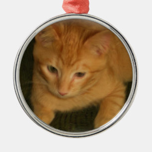 Kat fotografie metalen ornament