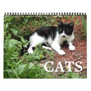 Kat Foto's Kalender
