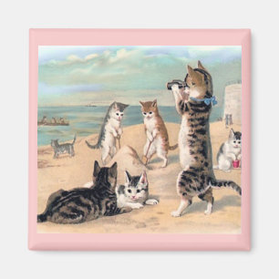 Kat Fun bij Beach Magnet Magneet