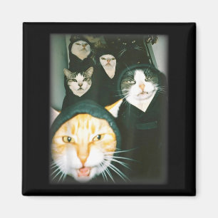 Kat Gang Meme Grappige Chaotische Katten Ontspoord Magneet