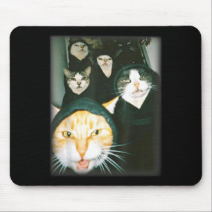 Kat Gang Meme Grappige Chaotische Katten Ontzette Muismat