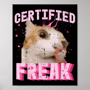 Kat Gecertificeerde Freak Grappige Uitdrukking Kit Poster