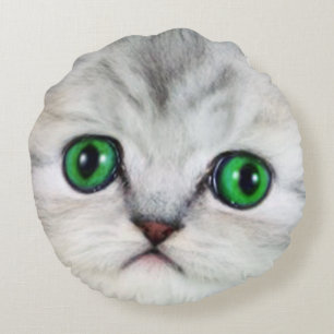 kat gelaat kussen 2