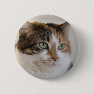 Kat-gezicht van Calico tabby Ronde Button 5,7 Cm