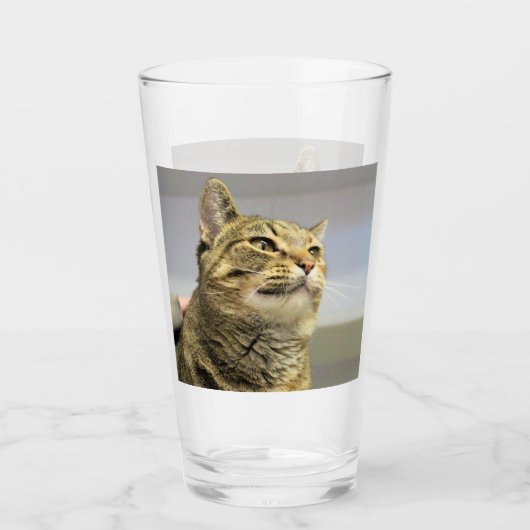 Kat Glas (Voorkant)