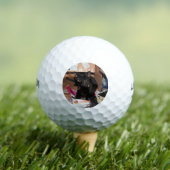 Kat Golfballen (Insitu Shirt)