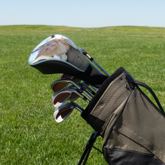 Kat Golfheadcover (Insitu)