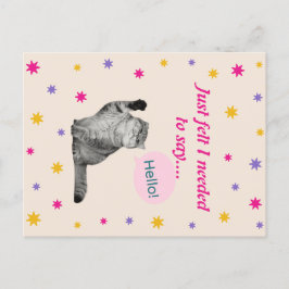 Kat Hallo - Ik vond het nodig om te zeggen Briefkaart
