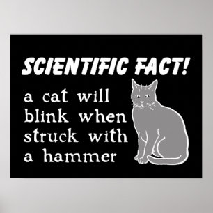 Kat Hamer Grappige Print Poster Humor