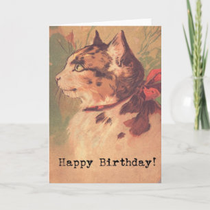 Kat, Happy Birthday-kaart Kaart