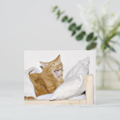 Kat hates morgens briefkaart (Staand voorkant)