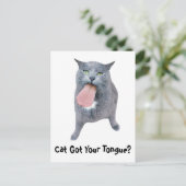 Kat heeft je tong? briefkaart (Staand voorkant)