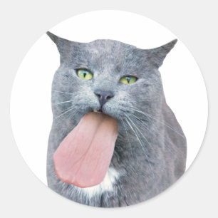 Kat heeft je tong? Klassieke ronde Sticker