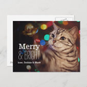 Kat helpt met de kerstboom feestdagenkaart (Voorkant / Achterkant)