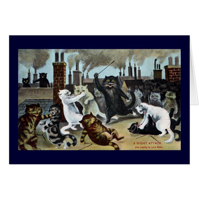 Kat herstelt het op een dak (Voorkant Horizontaal)