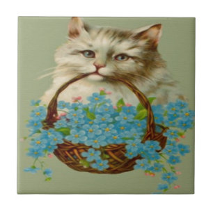 kat Holding mandje bloemen Tegeltje