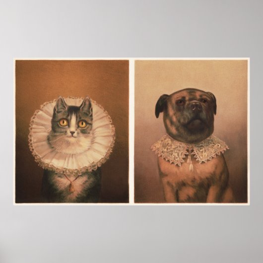 Kat & Hond Poster (Voorkant)