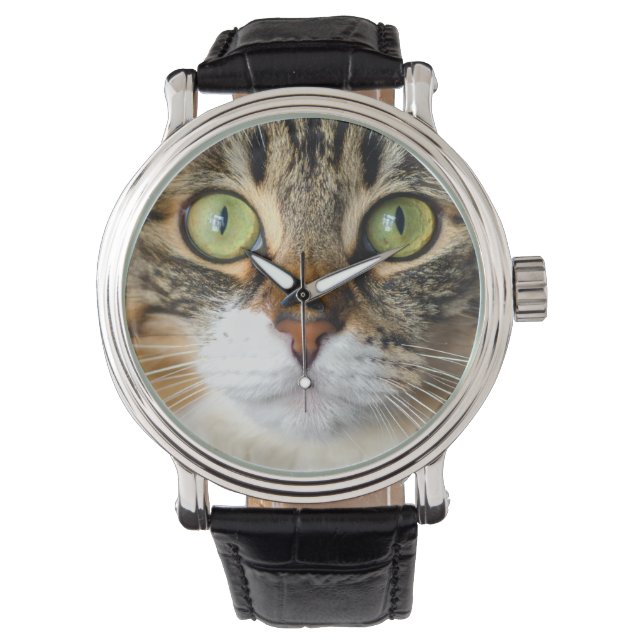 kat horloge (Voorkant)
