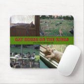 Kat House on the Kings Muismatten (Met muis)