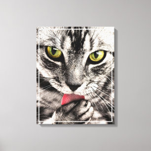 Kat Huisdier Portret Canvas Afdruk
