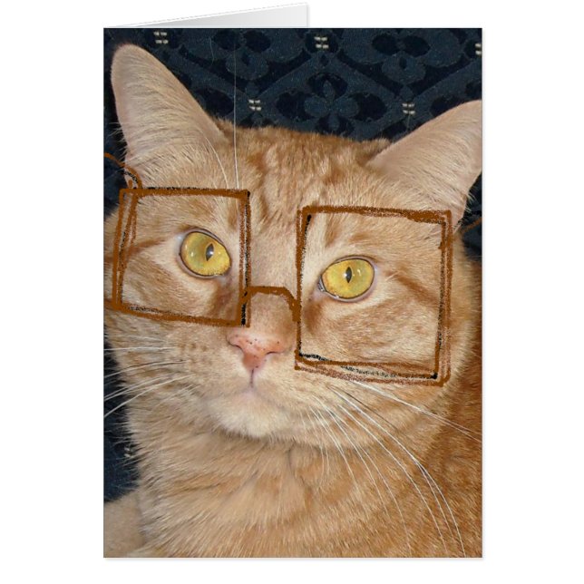 Kat-Humor (Voorkant)