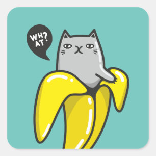 Kat in bananen vierkante sticker
