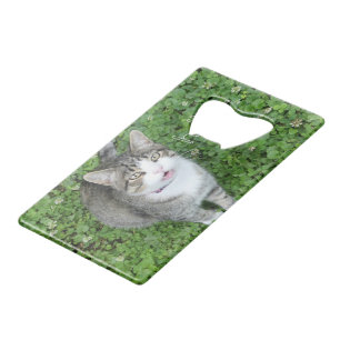 Kat in Clover-Gezegde Hallo Kredietkaart Flessenopener
