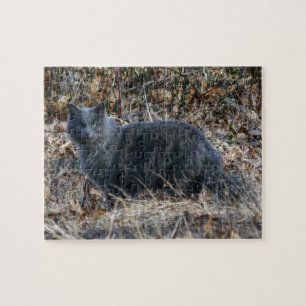 Kat in de Bossen Legpuzzel