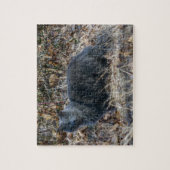 Kat in de Bossen Legpuzzel (Verticaal)