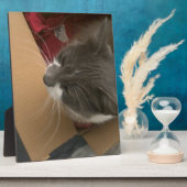 Kat in de doos fotoplaat (Zijkant)