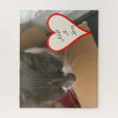 Kat in de doos legpuzzel (Verticaal)