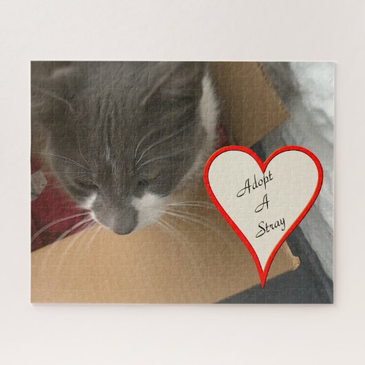 Kat in de doos legpuzzel (Horizontaal)