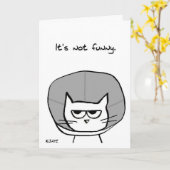 Kat in de kegel van schaamte - Funny Get Well Kaar Kaart (Gele Bloem)