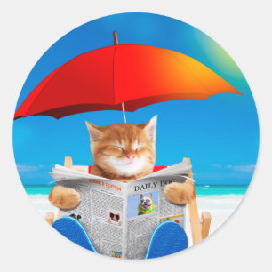 Kat in de krant leest de krant ronde sticker