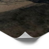 Kat in de Moonlight, Alexandre Steinlen Poster (Hoek)