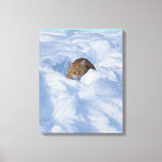 Kat in de sneeuw canvas afdruk (Voorkant)