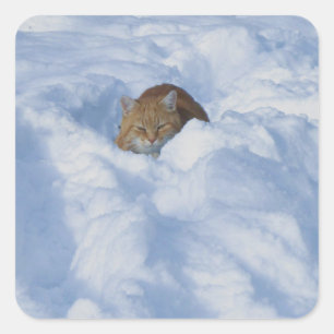 Kat in de sneeuw vierkante sticker