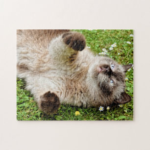 Kat in de tuin puzzel